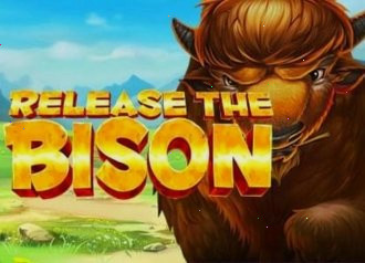 Release the bison - прагматический выстрел